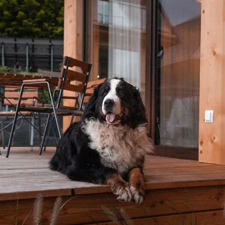 Hébergement de vacances Beskidzkie Wyspy Tenczyn